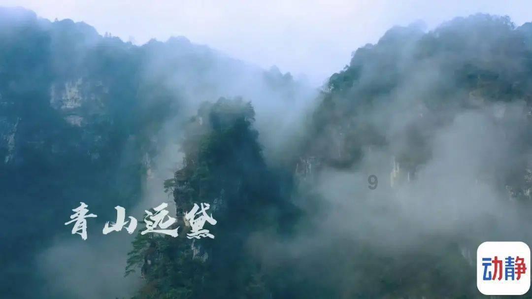 青海首家!西宁市生态环境综合行政执法支队被授牌