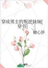 热带假日
