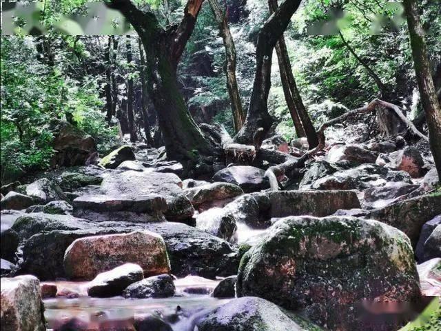 黑暗之魂3