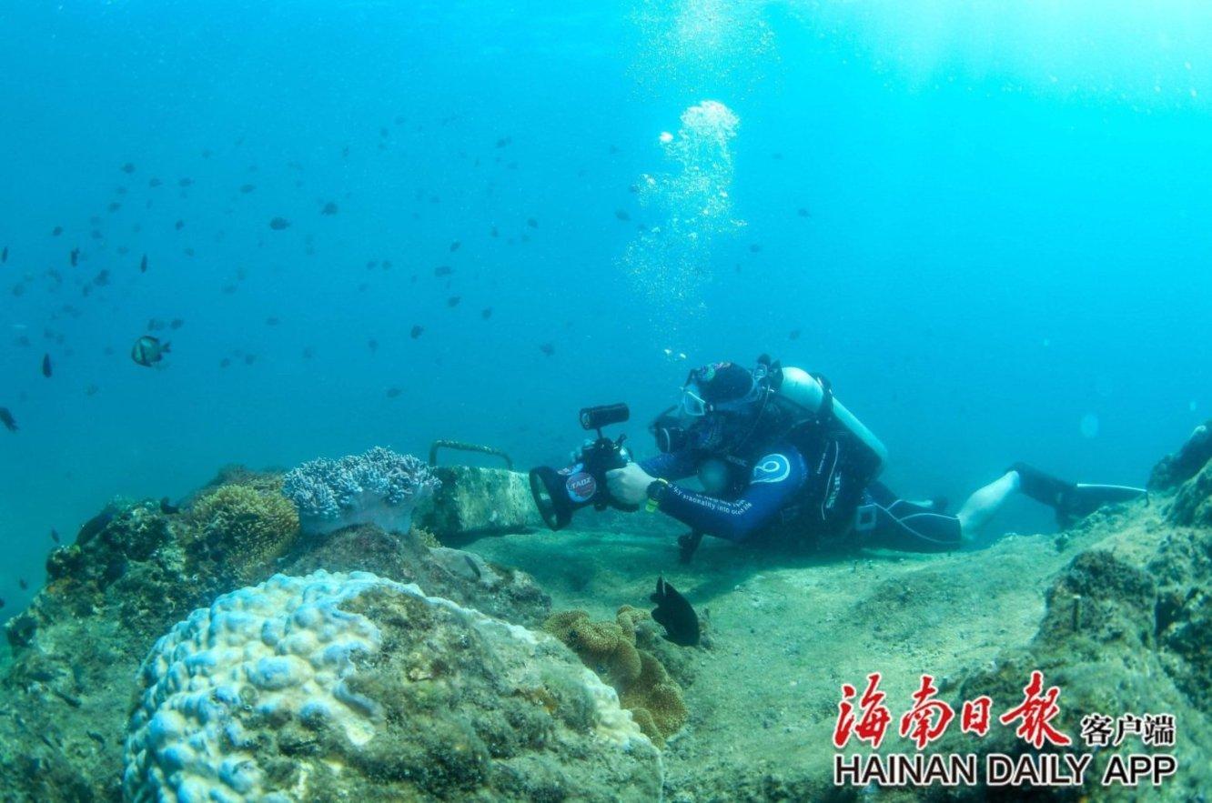 鹤壁:打造优质营商环境 全力护航经济发展