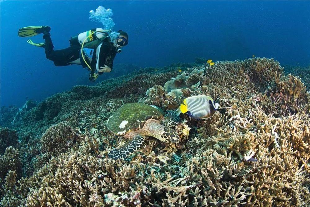逃出海滩度假胜地