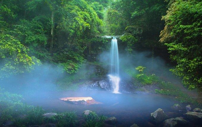 梦想牧场
